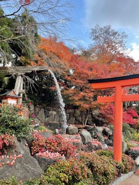 勝尾寺に投稿された画像（2025/12/3）