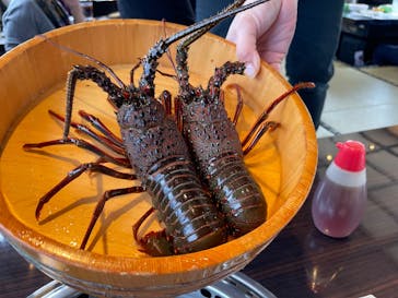 鳥羽　海鮮料理　屋形船　おきたに投稿された画像（2025/12/3）