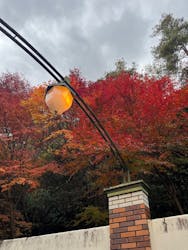 博物館 明治村に投稿された画像（2025/12/3）