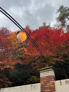 博物館 明治村に投稿された画像（2025/12/3）