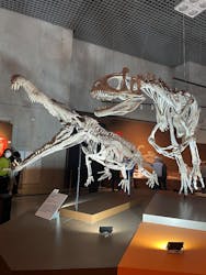 特別展「大絶滅展―生命史のビッグファイブ」に投稿された画像（2025/12/3）