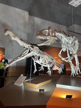 特別展「大絶滅展―生命史のビッグファイブ」に投稿された画像（2025/12/3）