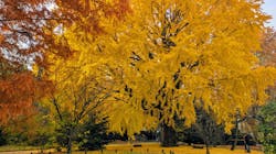 東京国立博物館に投稿された画像（2025/12/3）