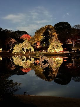 六義園に投稿された画像（2025/12/3）