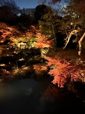 六義園に投稿された画像（2025/12/3）