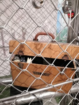 金曜ロードショーとジブリ展（静岡展）に投稿された画像（2025/12/3）