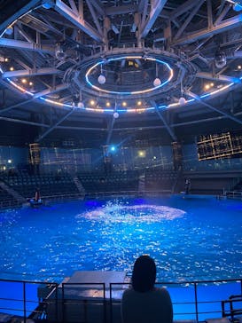 マクセル アクアパーク品川に投稿された画像（2025/12/3）