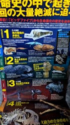 特別展「大絶滅展―生命史のビッグファイブ」に投稿された画像（2025/12/3）