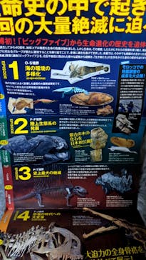 特別展「大絶滅展―生命史のビッグファイブ」に投稿された画像（2025/12/3）