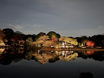六義園に投稿された画像（2025/12/3）