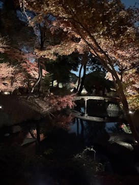 六義園に投稿された画像（2025/12/3）