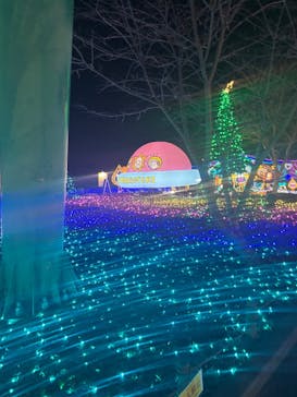 さがみ湖MORI MORIに投稿された画像（2025/12/3）