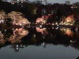 六義園に投稿された画像（2025/12/3）
