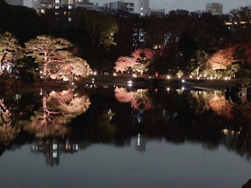 六義園に投稿された画像（2025/12/3）
