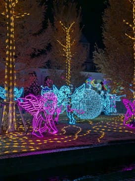 神戸イルミナージュに投稿された画像（2025/12/3）