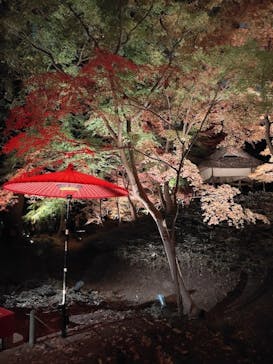 六義園に投稿された画像（2025/12/3）