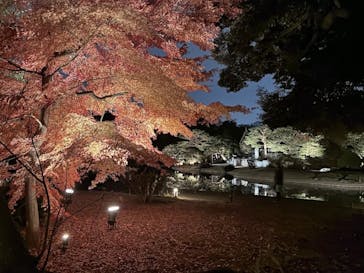 六義園に投稿された画像（2025/12/3）