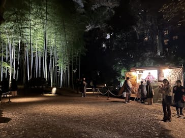 六義園に投稿された画像（2025/12/3）