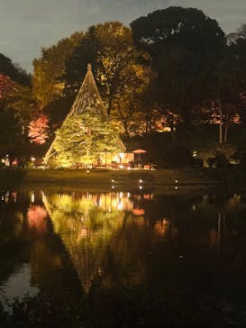 六義園に投稿された画像（2025/12/3）