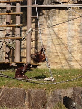 多摩動物公園に投稿された画像（2025/12/3）