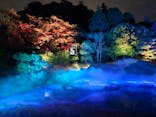 ZEN NIGHT WALK KAMAKURAに投稿された画像（2025/12/3）