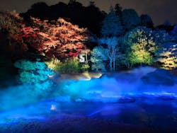 ZEN NIGHT WALK KAMAKURAに投稿された画像（2025/12/3）