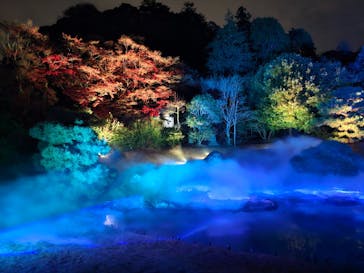 ZEN NIGHT WALK KAMAKURAに投稿された画像（2025/12/3）