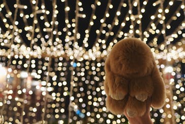 Christmas Market in 横浜赤レンガ倉庫 2025に投稿された画像（2025/12/3）