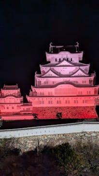 Himeji Castle of Light『DANDELION PROJECT 姫路城×NAKED, INC.』に投稿された画像（2025/12/3）
