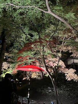 六義園に投稿された画像（2025/12/3）