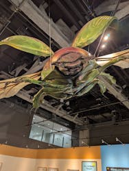 特別展「昆虫MANIAC」（名古屋会場）に投稿された画像（2025/12/3）