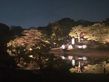 六義園に投稿された画像（2025/12/3）