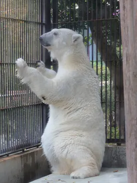 愛媛県立とべ動物園に投稿された画像（2025/12/3）