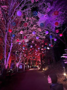 ムーミンバレーパークに投稿された画像（2025/12/3）