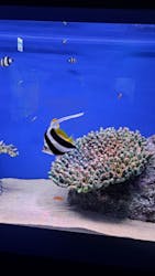 シン・マリホ水族館に投稿された画像（2025/12/3）