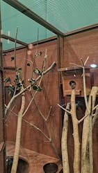 シン・マリホ水族館に投稿された画像（2025/12/3）