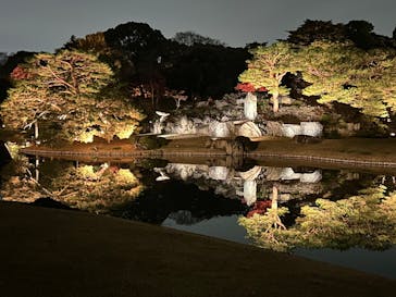 六義園に投稿された画像（2025/12/3）