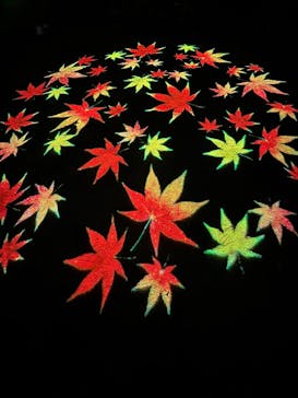 六義園に投稿された画像（2025/12/3）