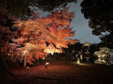 六義園に投稿された画像（2025/12/3）