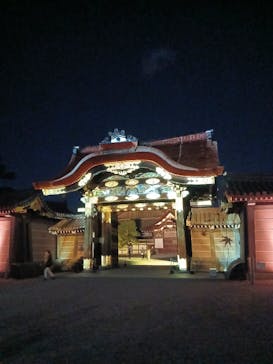 NAKED meets 二条城 2025 観月に投稿された画像（2025/12/3）