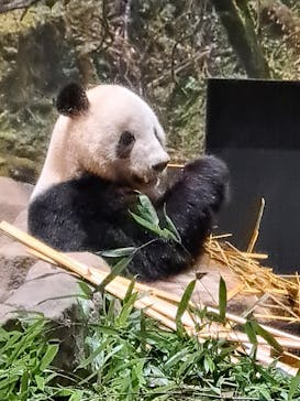 恩賜上野動物園に投稿された画像（2025/12/4）