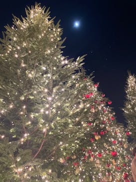 Christmas Market in 横浜赤レンガ倉庫 2025に投稿された画像（2025/12/4）