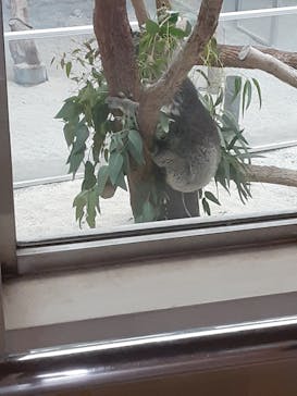 淡路ファームパーク イングランドの丘に投稿された画像（2025/12/4）