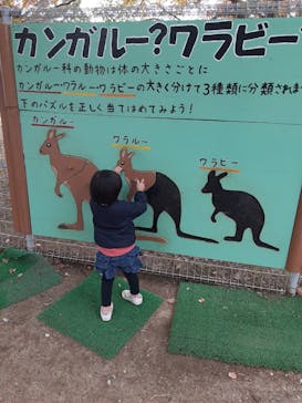 淡路ファームパーク イングランドの丘に投稿された画像（2025/12/4）