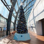 環境水族館アクアマリンふくしまに投稿された画像（2025/12/4）