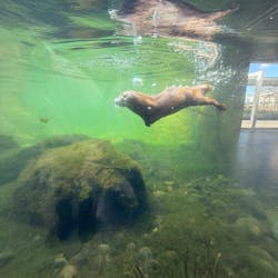 環境水族館アクアマリンふくしまに投稿された画像（2025/12/4）