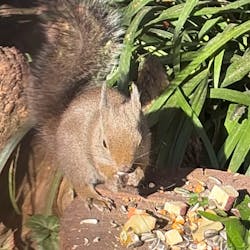 環境水族館アクアマリンふくしまに投稿された画像（2025/12/4）