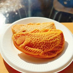 環境水族館アクアマリンふくしまに投稿された画像（2025/12/4）