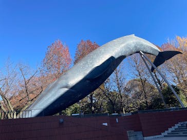 国立科学博物館に投稿された画像（2025/12/4）