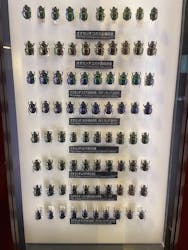 国立科学博物館に投稿された画像（2025/12/4）